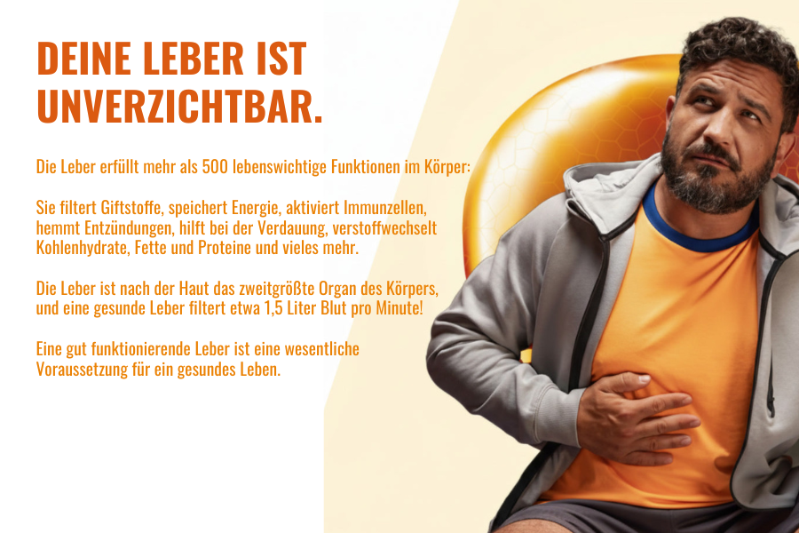 Deine Leber ist unverzichtbar.