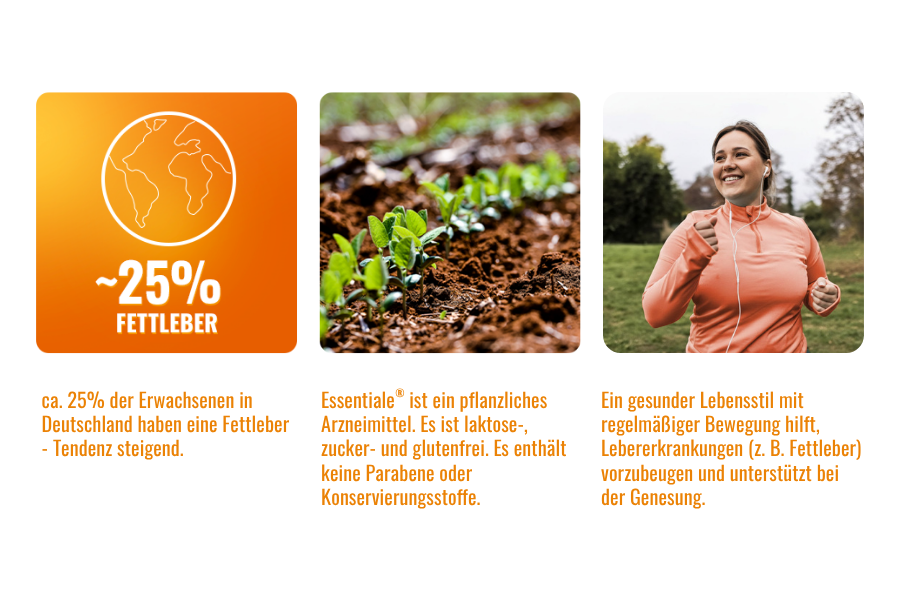 Deine Leber entgiftet selbst – sie braucht vor allem einen gesunden Lebensstil (gesunde Ernährung, Alkoholverzicht & Bewegung)
