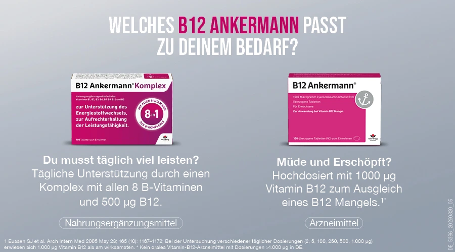 Welches B12 Ackermann passt besser zu deinem Bedarf?